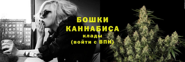 прущий лед Вязьма