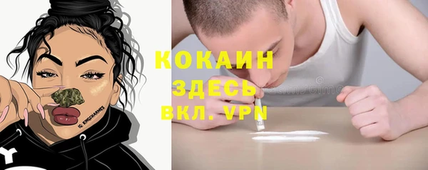 прущий лед Вязьма