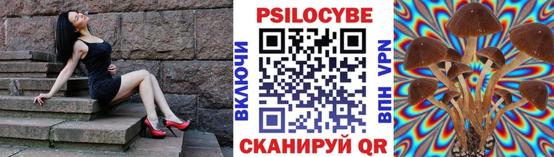 купить   blacksprut   Псилоцибиновые грибы ЛСД  Тверь 